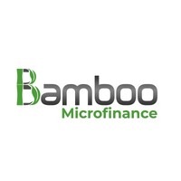 Bamboo